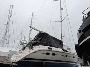 Split Crow - wintering in Quebec